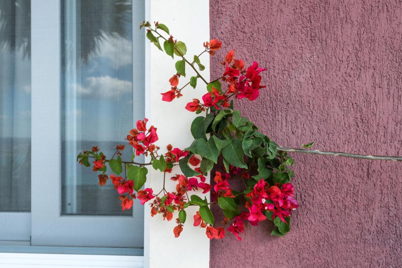 Lorraine's Close To Lourdas Appartement *